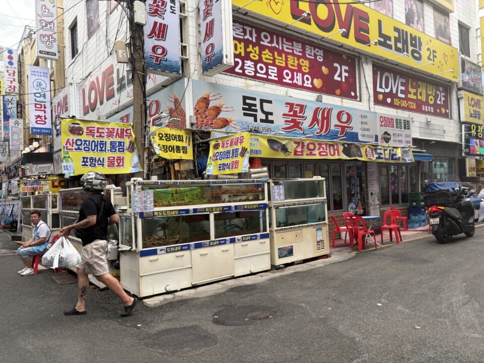 トッコッセウ（花エビ）専門店の生簀。南浦洞の路地